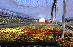 ���c�A����