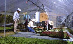 ���c�A����